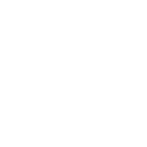 Tailored Solutions & Scalable Teams