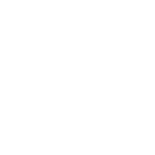 Custom ML Model Development