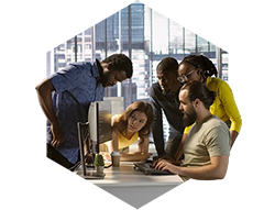 Dedicated Development Team