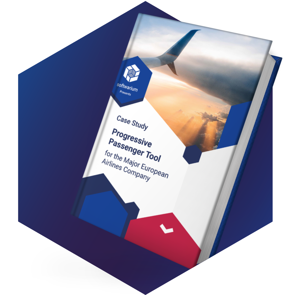 Progressive Passenger Tool for the Major European Airlines Company