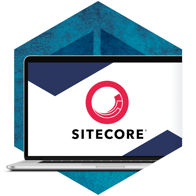 Sitecore Development Services cover image