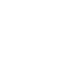 Back-End Specialists