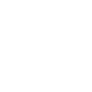 Mobile Developers