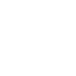 Internal Cybersecurity